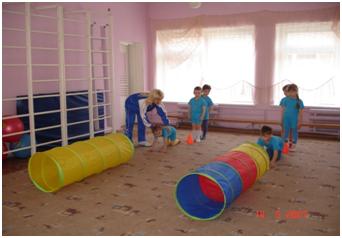 dsad81 10
