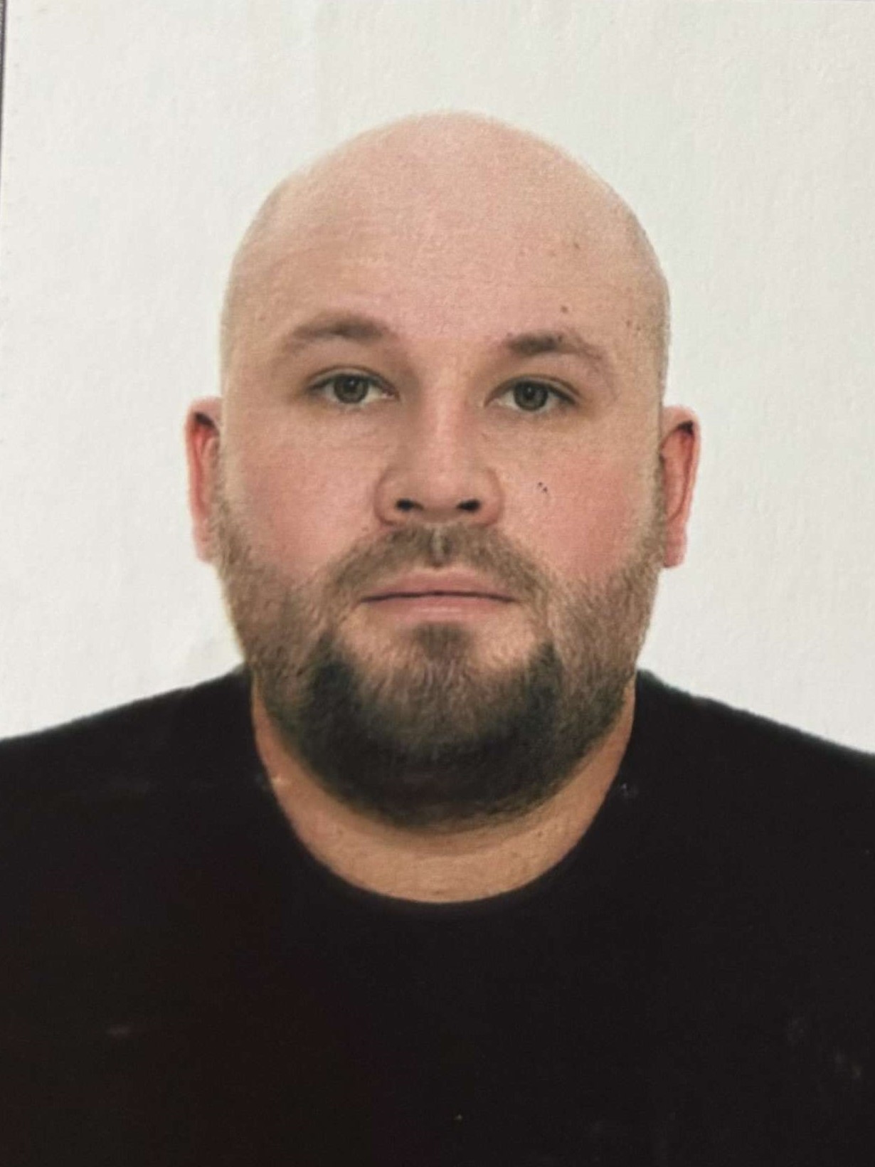 artem zarubin